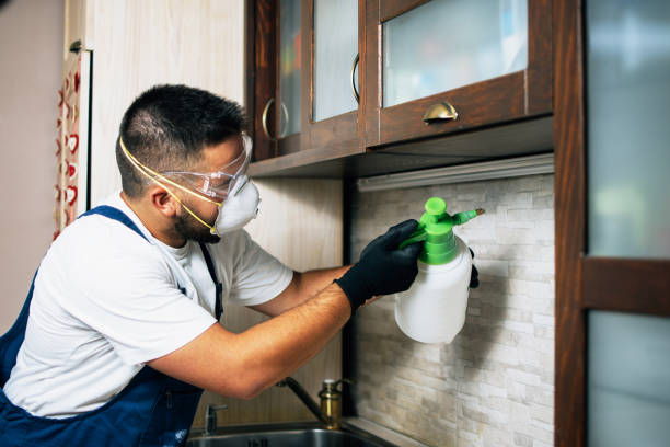 Best Cockroach Control Services  in Stacy, MN
