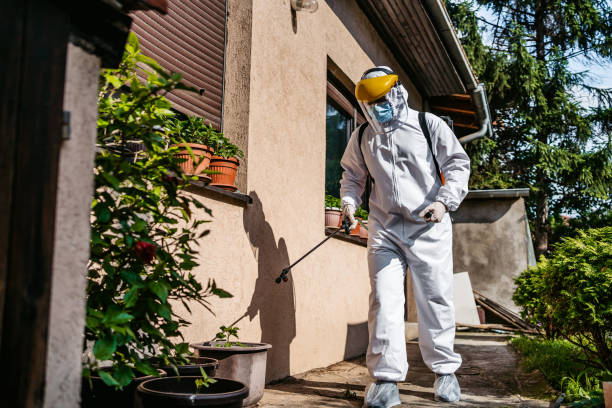 Best Pest Inspection Near Me  in Stacy, MN