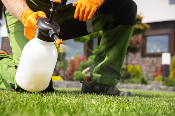 Best Best Pest Control Companies  in Stacy, MN