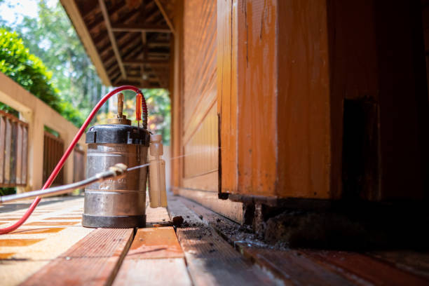 Best Cockroach Control Services  in Stacy, MN
