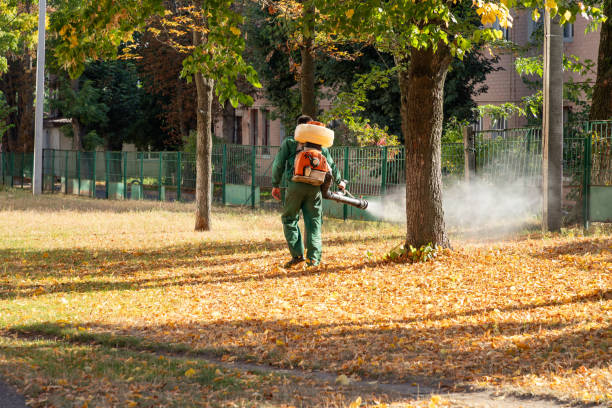 Best Exterminator Services  in Stacy, MN